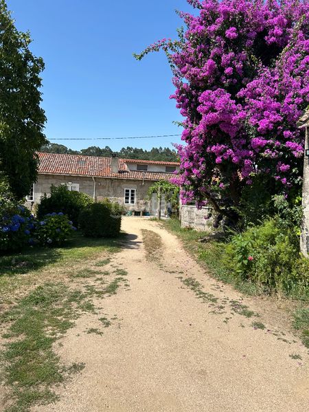 Foto ac80e1c5-52ee-4bed-8e65-626ba6562fd0. Casa amb xemeneia piscina a Meis