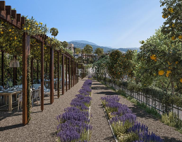 Foto 1893f06a-9871-4e92-9a27-cda6bd996c7e. Chalet en Benahavís pueblo Benahavís