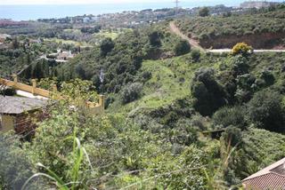 Residential Plot in El Rosario - Ricmar