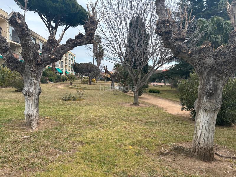 Foto 35f01686-2835-4abc-a79f-16b26a24c232. Apartamento en Fenals Platja d´Aro