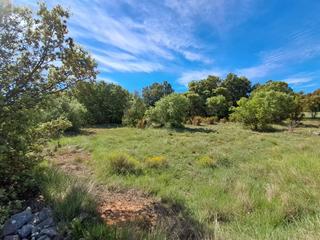 Masia a Culla. Finca rúst. en venta en culla.