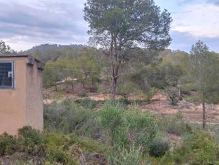 Terreny residencial a Vilamarxant. ?? venta de parcelas con gran potencial ??