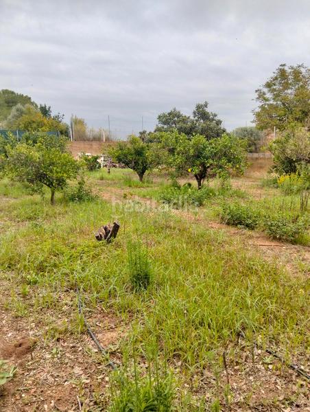 Foto 637ffd29-8ec3-44be-8d4d-13787240b105. Chalet with fireplace pool in Vilamarxant