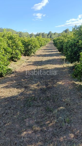 Foto 8540be59-adee-4a48-86e4-c69f2c21b891. Finca rústica a Vilamarxant
