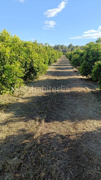 Foto bb44bd31-55d1-4c6f-a654-7eb5766cbcdc. Finca rústica a Vilamarxant