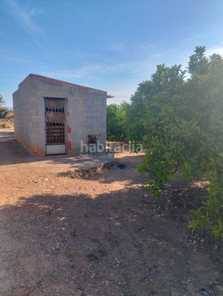 Foto 67b0c38a-6c4e-4a7f-8b87-d4dc2aa3abcc. Fondo rustico in Vilamarxant