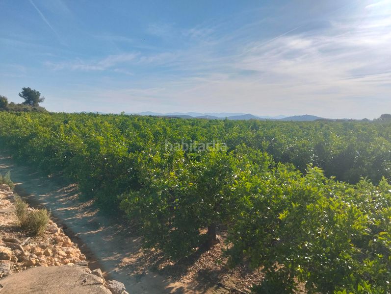 Foto a8b53763-3f02-4101-b207-413f5811ac44. Fondo rustico in Vilamarxant