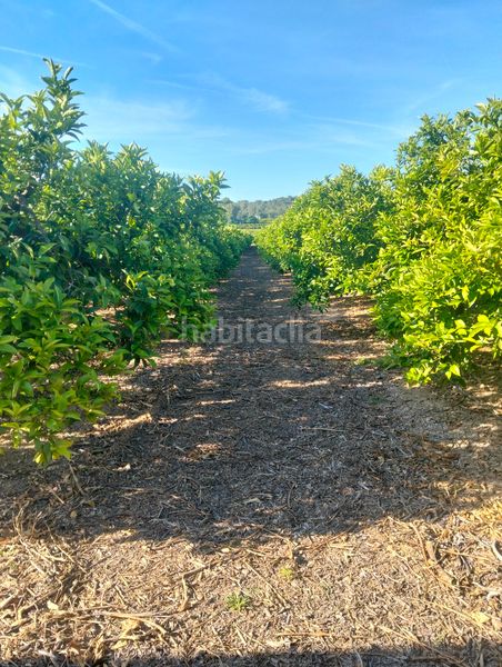 Foto f634162b-a178-4a77-a4d0-9418347e62b6. Fondo rustico in Vilamarxant