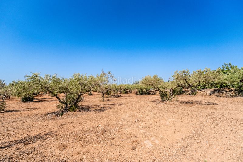 Foto 043758ba-3aa2-4355-9d97-e74bfb00b68b. Chalet dans Ampolla (L´)