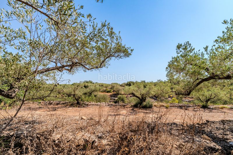 Foto 3989ff90-70c9-4c93-8699-04034ae8819c. Chalet dans Ampolla (L´)
