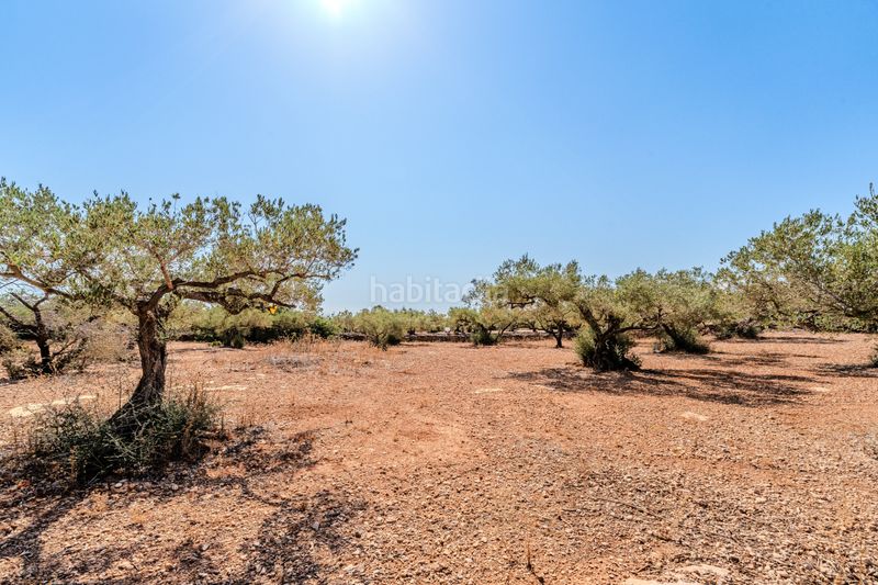 Foto 472df6fa-a12c-4655-a1ef-3b265fae083c. Chalet dans Ampolla (L´)