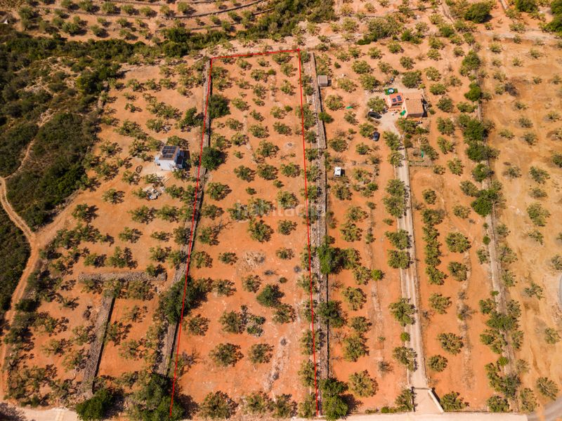 Foto ba10a6d8-3a7a-47f2-a3be-625a03c2509f. Chalet dans Ampolla (L´)