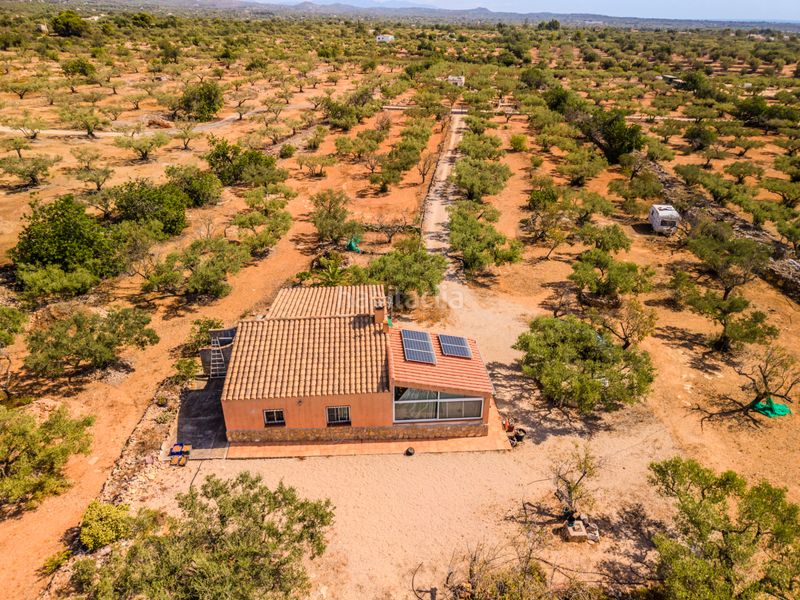 Foto c7e5cab7-f007-4686-bd65-91b129b0c060. Chalet dans Ampolla (L´)