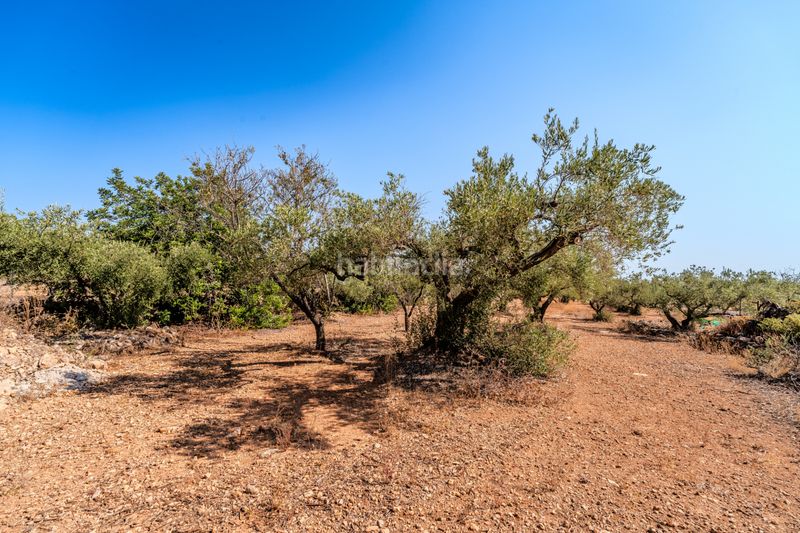 Foto f16fc22b-85b6-45f4-978e-57aeedb0e62c. Chalet dans Ampolla (L´)