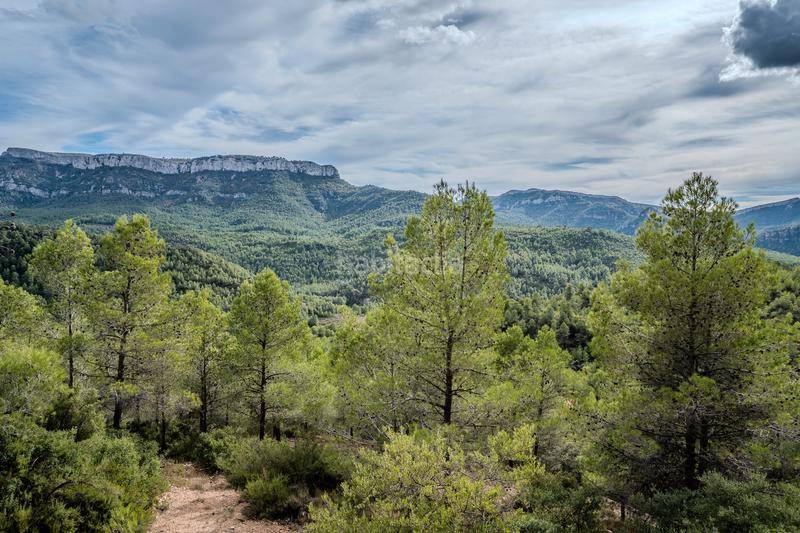 Foto 7e2ea05f-bc7e-4398-a6f4-45df023b700f. Bauernhof mit kamin heizung parking in Falset