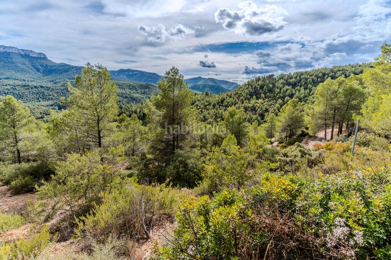 Foto 7eae0ef8-c338-4d2b-a62c-e23ae4b37d15. Bauernhof mit kamin heizung parking in Falset