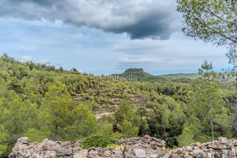 Foto b6f61bf0-dae7-46ae-ba84-740915c499d7. Bauernhof mit kamin heizung parking in Falset