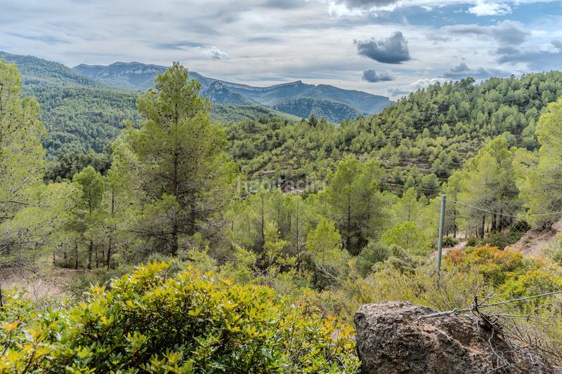 Foto bb985c13-225c-44a1-8dd3-0b6a54c973b0. Bauernhof mit kamin heizung parking in Falset