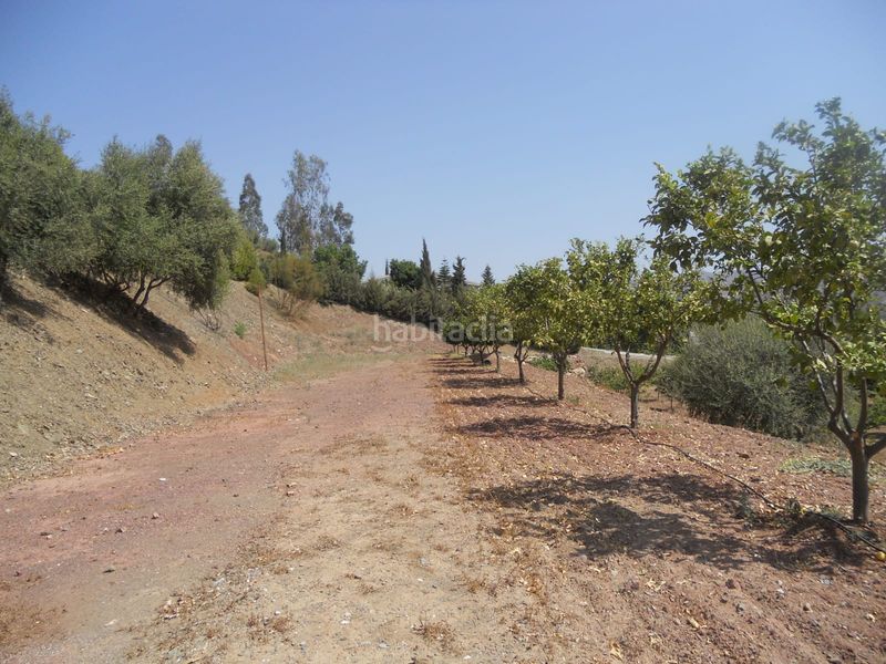 Foto 2f833a23-2e74-4356-883b-0fd3b182e788. Chalet en El Cortijuelo Málaga