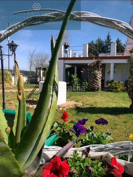 Foto 18a1bea4-f110-490d-ab67-a1f690d9a052. Edifici a Montijo