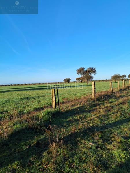 Foto 0facf9a8-db08-4ff3-bbc2-0970aaec78e6. Bauernhof in Norte Mérida