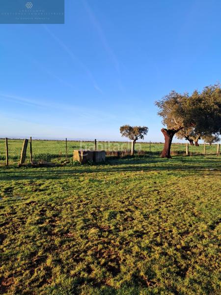 Foto 357e3b77-ac64-4e97-af67-d4b9ed98cbb3. Bauernhof in Norte Mérida