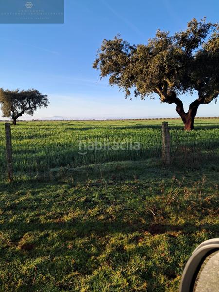 Foto b3918126-d841-44a4-9261-33126a37b903. Bauernhof in Norte Mérida