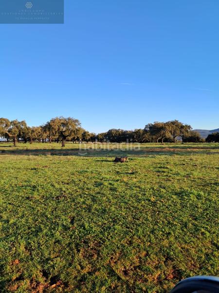 Foto da76b9c6-0b57-4d4d-b80b-6b8087d8367c. Bauernhof in Norte Mérida