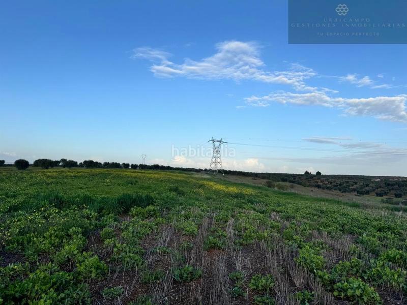 Foto 00ea8aca-5e91-4cda-8659-b6321b8bd6d6. Terreny residencial a Sur Mérida