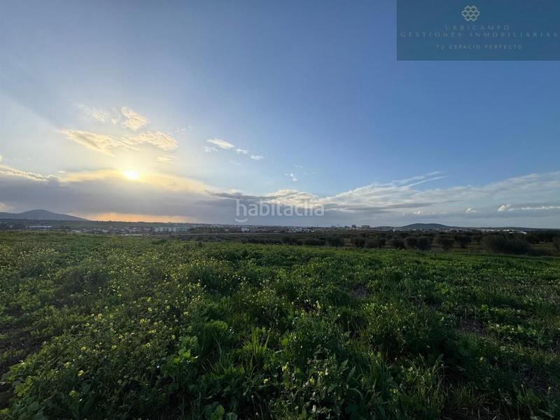 Foto 64d81346-fbc8-4b37-a4aa-9cfc51ed5ea4. Terreny residencial a Sur Mérida