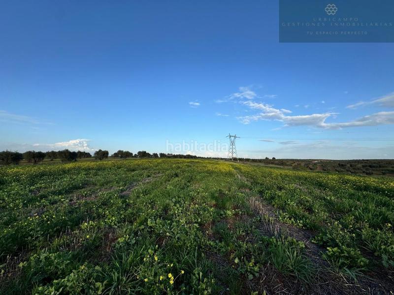 Foto f6c77a22-5ce5-4f41-abcb-62422fca16d9. Terreny residencial a Sur Mérida