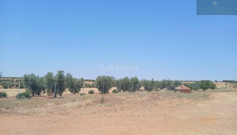 Foto 49a5ffa8-a069-40aa-9bcd-643d5cc2ec3c. Masia a Cristina
