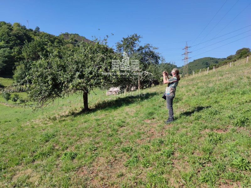 Foto f5548a02-e061-4259-b305-834654e8d030. Finca rústica en Grado