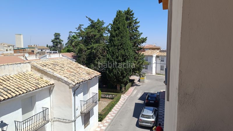Foto e25662f6-e3aa-43d9-a5d6-6feda2c4bf1a. Pis a Mancha Real