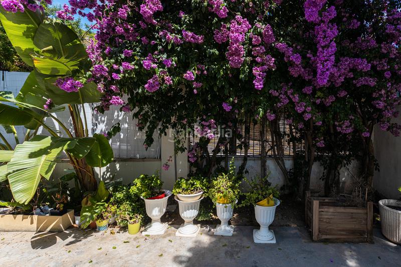 Foto cfa7fc86-e96d-4402-a37d-702a6ac0eac3. Building in Centre Masnou (El)