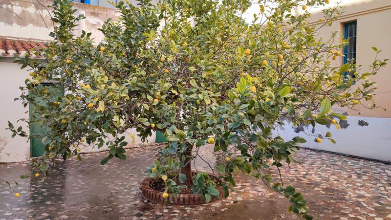 Foto c94fc6f9-492a-47f3-8e9f-0ff5078d1590. Etagenwohnung mit heizung in Xixona