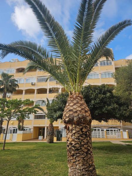 Foto 07f3e236-4db5-4f84-b75d-6e2da264a541. Apartment with heating parking pool in Torreblanca Torrevieja