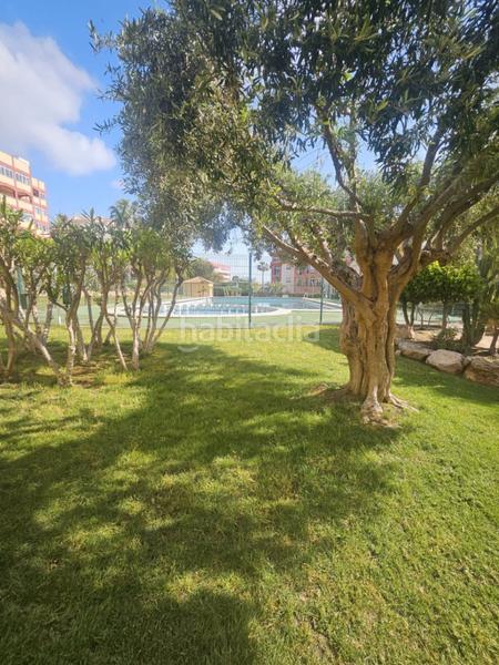 Foto 1dc85b4d-ebe1-4958-84b9-5786d93a01fb. Apartment with heating parking pool in Torreblanca Torrevieja