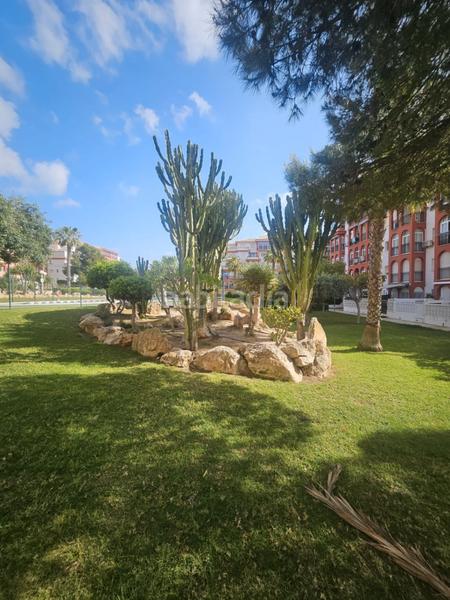 Foto 57854057-0b6b-4f06-8898-adf1309b2f9d. Appartement avec chauffage parking piscine dans Torreblanca Torrevieja