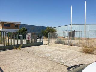Nau industrial a Partida bufarras bajas 302. Nave en venta