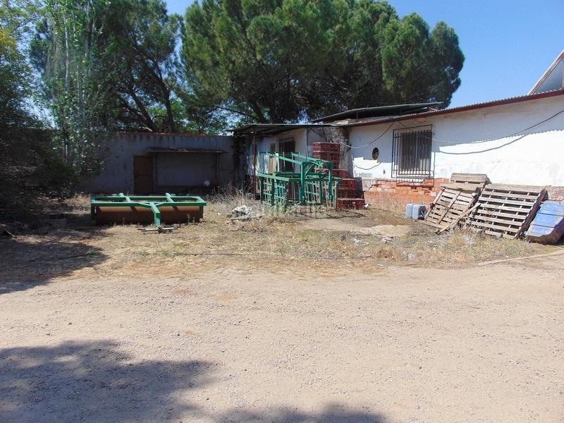 Foto 95052644-1529-4ad9-9d90-220d3ba0f121. Fabrikhalle in Moral de Calatrava