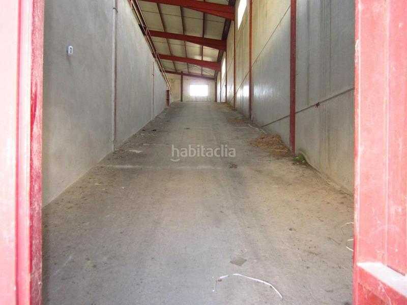 Foto 3fa97823-e6e7-4333-a5df-400b47ee7e21. Nau industrial a parque empresarial príncipe felipe s/n a Lucena