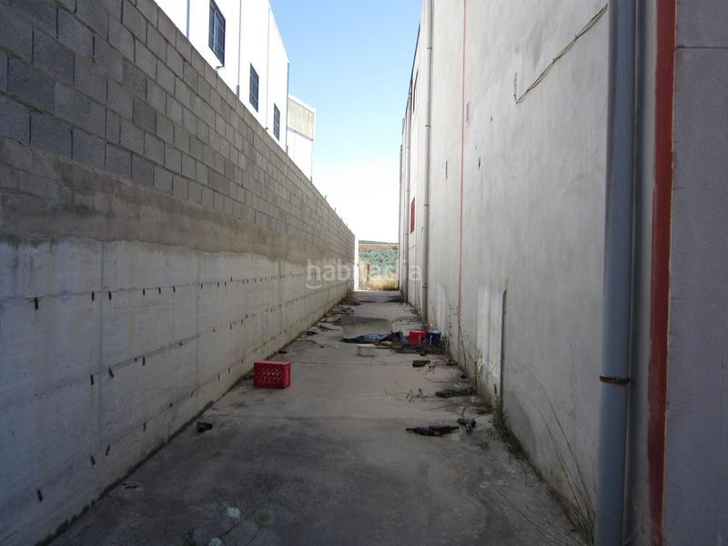 Foto a4d97389-fcdb-4114-ac15-c837b9a0d4f8. Nau industrial a parque empresarial príncipe felipe s/n a Lucena