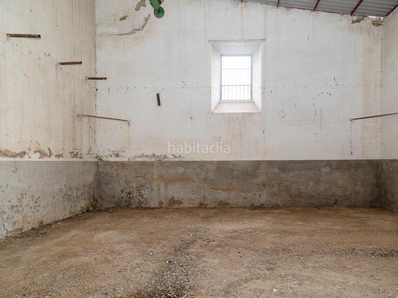 Foto 9bd7413d-cd5a-402c-a447-f6c2f05df917. Capannone industriale in carmona 57 in Marchena