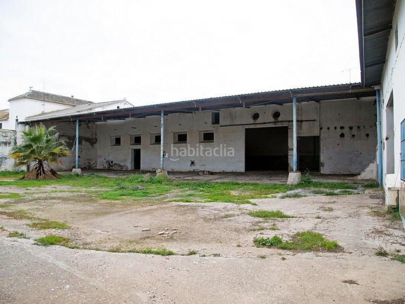 Foto e187d789-d103-4192-a88e-b98bce959992. Capannone industriale in carmona 57 in Marchena