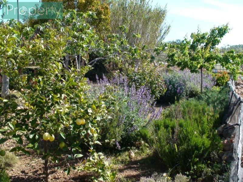 Foto 089b8204-5ded-4953-8832-97426009ef3b. Mas avec chauffage parking piscine dans Centre Vendrell (El)