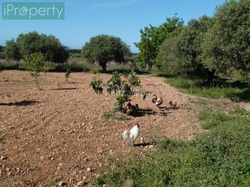 Foto 2ce934e7-7549-4e17-b6c5-8966e7d55789. Mas avec chauffage parking piscine dans Centre Vendrell (El)