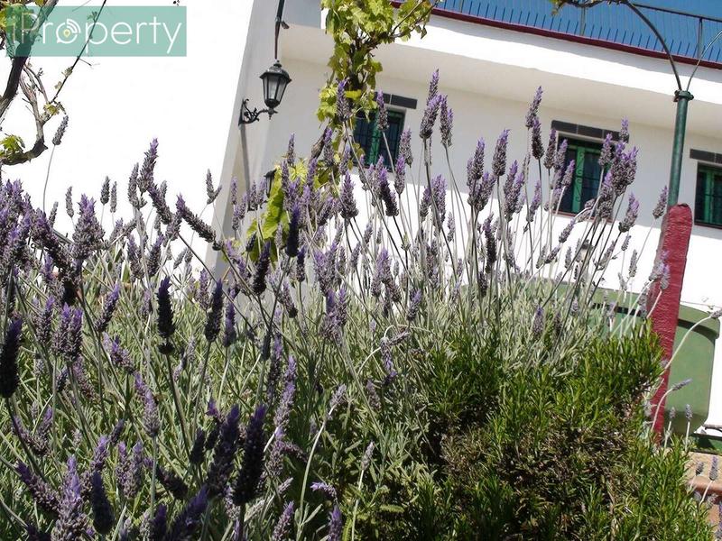 Foto 6c8974e5-ac60-4f5b-84be-1dc7030c3929. Mas avec chauffage parking piscine dans Centre Vendrell (El)