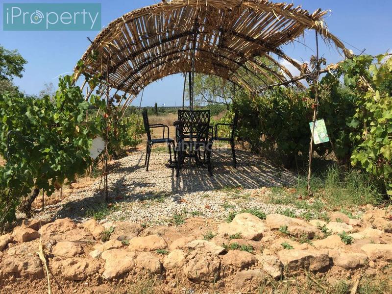 Foto 84ebb355-86a2-41dc-b49e-a641d1f29a44. Mas avec chauffage parking piscine dans Centre Vendrell (El)