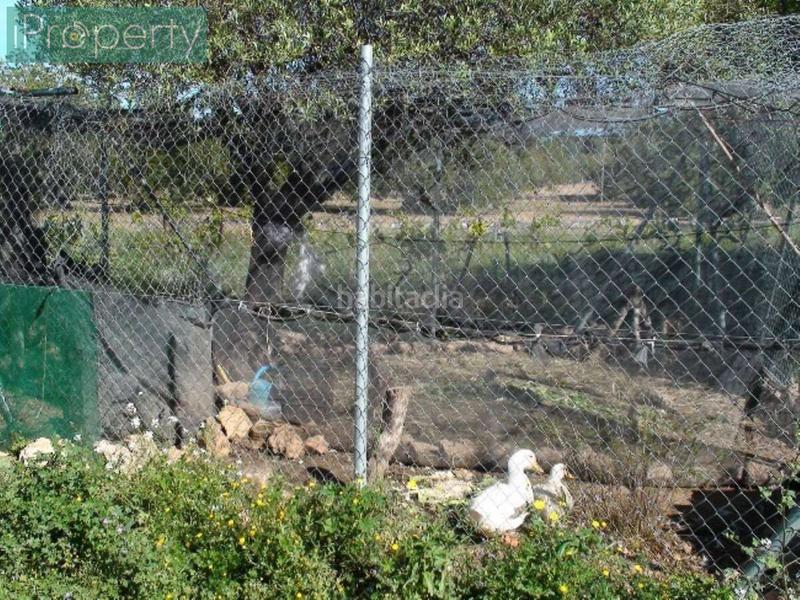 Foto a8ca2f7a-4b4f-4852-8675-403a7797ed95. Mas avec chauffage parking piscine dans Centre Vendrell (El)